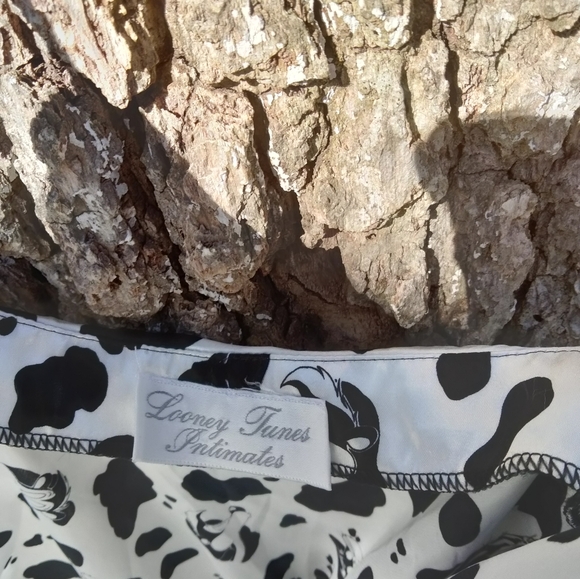 ↕️Price Drop!⬇️ Looney Tunes Intimates Chemise in size S/M - Picture 3 of 3